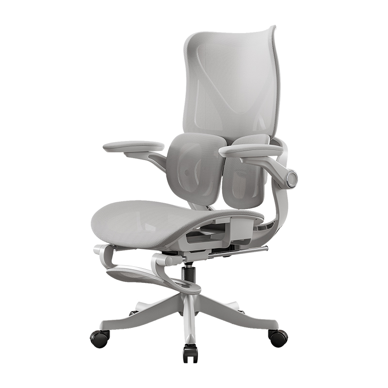 다기능 컴퓨터 사무실 의자 요추 이중 등받이 지지대 리 - Esports Gaming Furniture 리뷰 및 가격